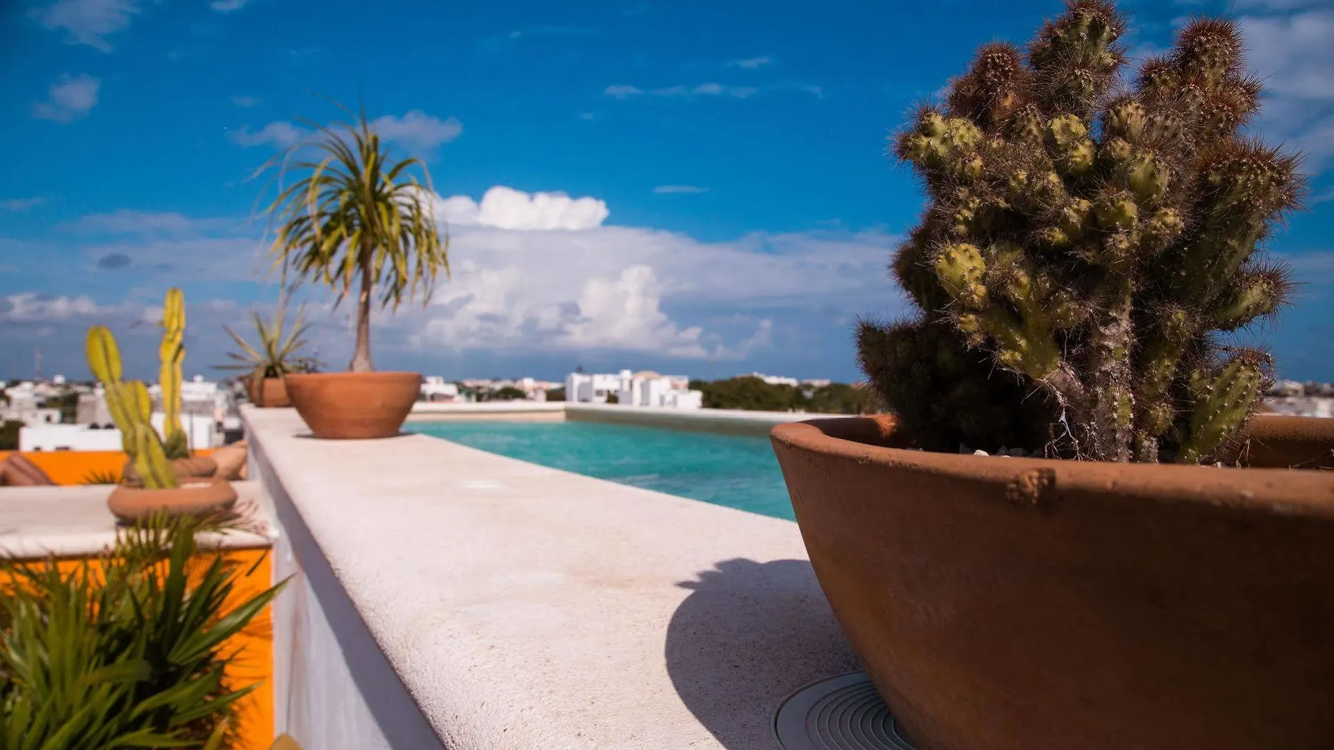 La Galeria By Bunik Hotell Playa del Carmen 3*,